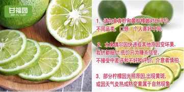 新手也能高點擊 蘄艾制品主圖設計實戰指南